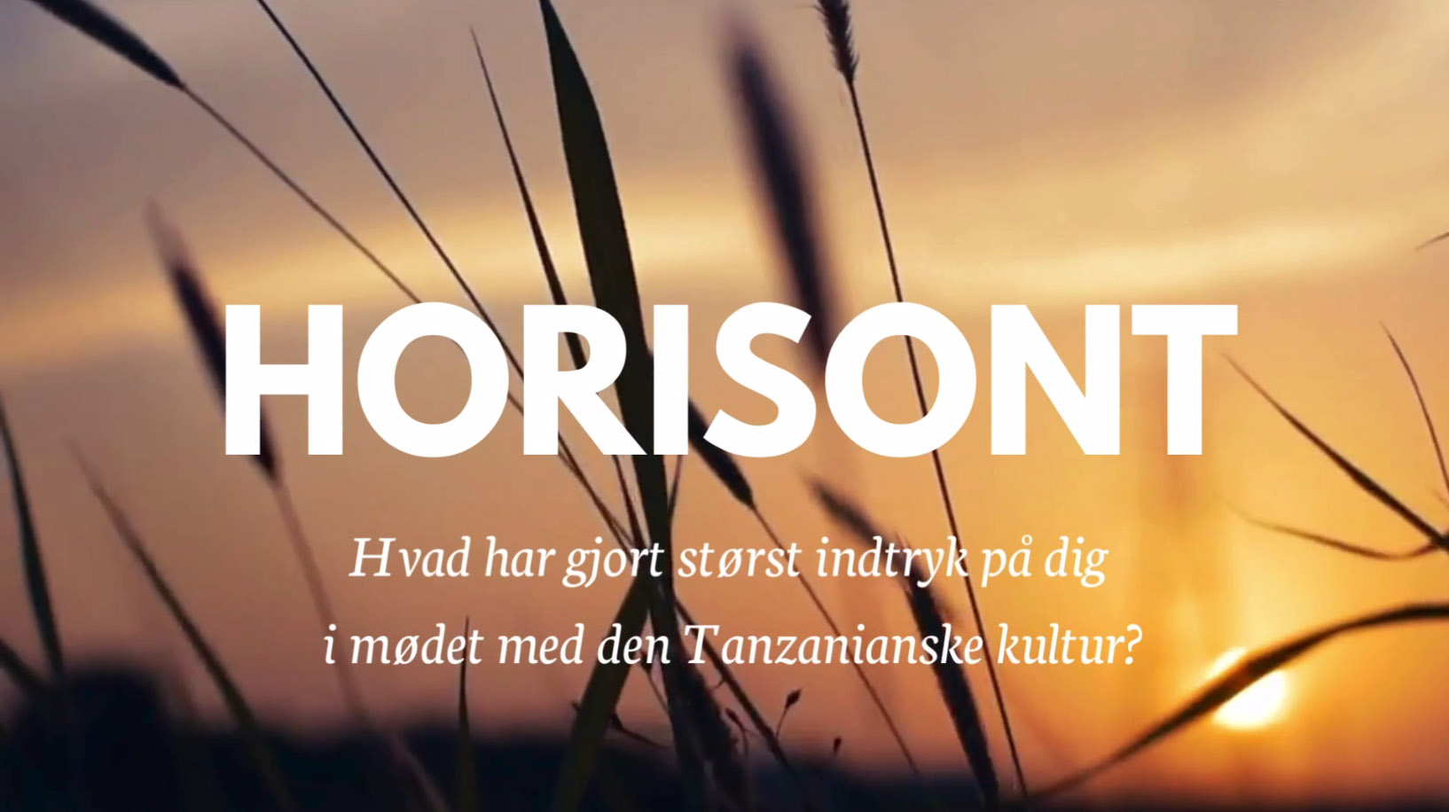 Horisont 1